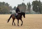 El Jockey Club Rosario se prepara para recibir las tres disciplinas ecuestres de los Juegos Suramericanos