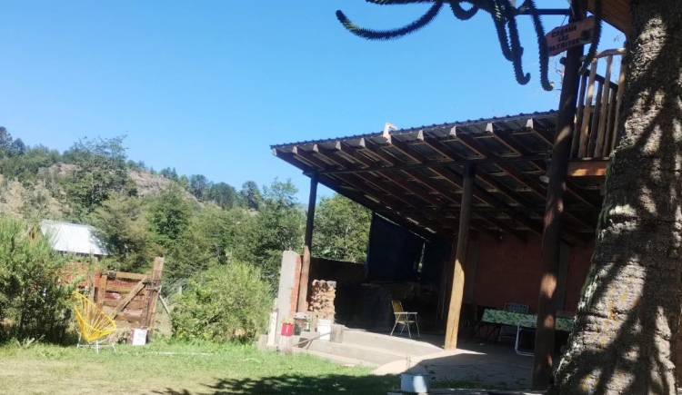 Fuerte recorte presupuestario que presentó Javier Milei para el deporte en el 2025