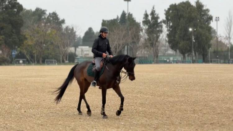 El Jockey Club Rosario se prepara para recibir las tres disciplinas ecuestres de los Juegos Suramericanos